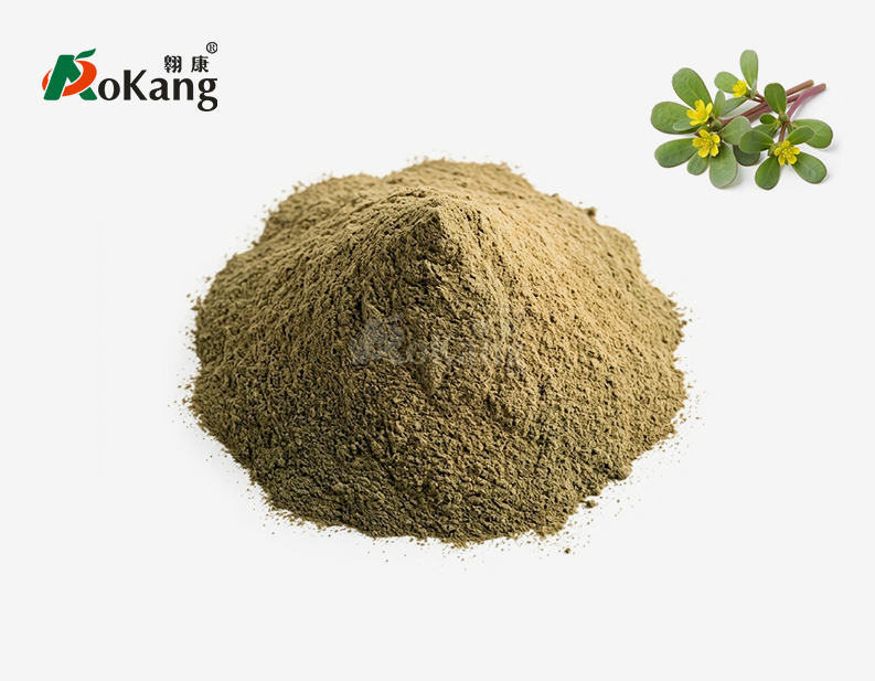 Purslane Powder
